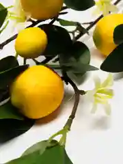Светло-жёлтый искусственные цветы, дерево лимонное