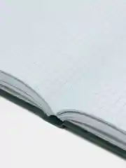 Книга учета 96 листов клетка, твердая, офсет, герб, А4, Brauberg, зеленая, 130277