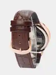 Коричневый мужские наручные часы Ochstin 6050E с хронографом в подарочной упаковке