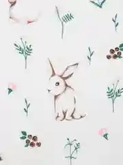 Прозрачный ткани для рукоделия 50*50 см Хлопок: бязь, поплин, перкаль