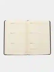 Ежедневник-планер (планинг), записная книжка недатированный А5, Brauberg, под кожу, 114478
