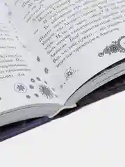 Магазин из Ниоткуда. Ученик чародея, МакКензи Р.