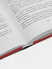 Старьевщица, Рой О.Ю.