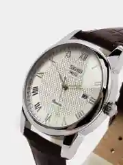 Коричневый мужские наручные часы Skmei 9058G с календарём в подарочной упаковке