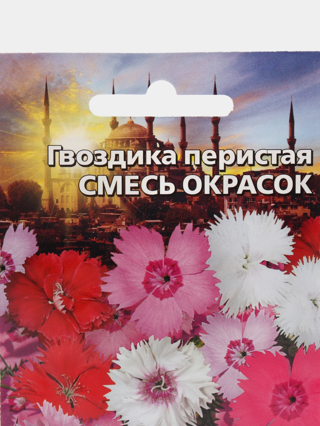 Гвоздика перистая Смесь Окрасок (семена, цветы)
