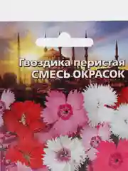 Гвоздика перистая Смесь Окрасок (семена, цветы)