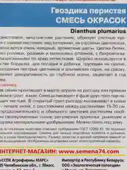 Гвоздика перистая Смесь Окрасок (семена, цветы)