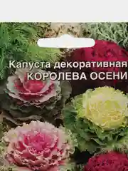 Капуста декоративная Королева Осени, семена
