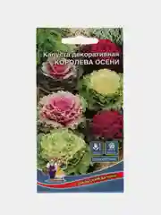 Капуста декоративная Королева Осени, семена