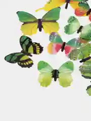 Зеленый интерьерные наклейки 3D-бабочки на стену, для декора дома