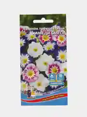Вьюнок трехцветный Камеди смесь, семена, цветы