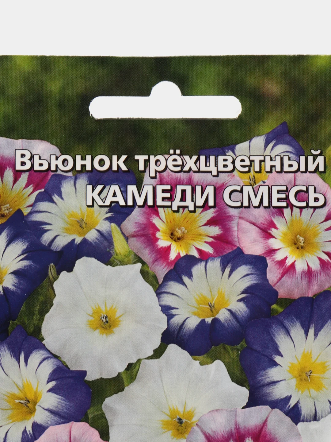 Вьюнок трехцветный Камеди смесь, семена, цветы