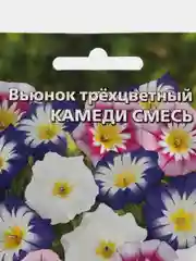 Вьюнок трехцветный Камеди смесь, семена, цветы