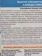 Вьюнок трехцветный Камеди смесь, семена, цветы