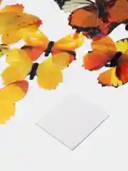 Желтый интерьерные наклейки 3D-бабочки на стену, для декора дома