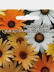 Диморфотека "Сказачная полянка", семена, цветы