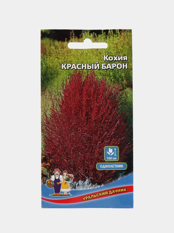 Кохия Красный Барон (семена,цветы)