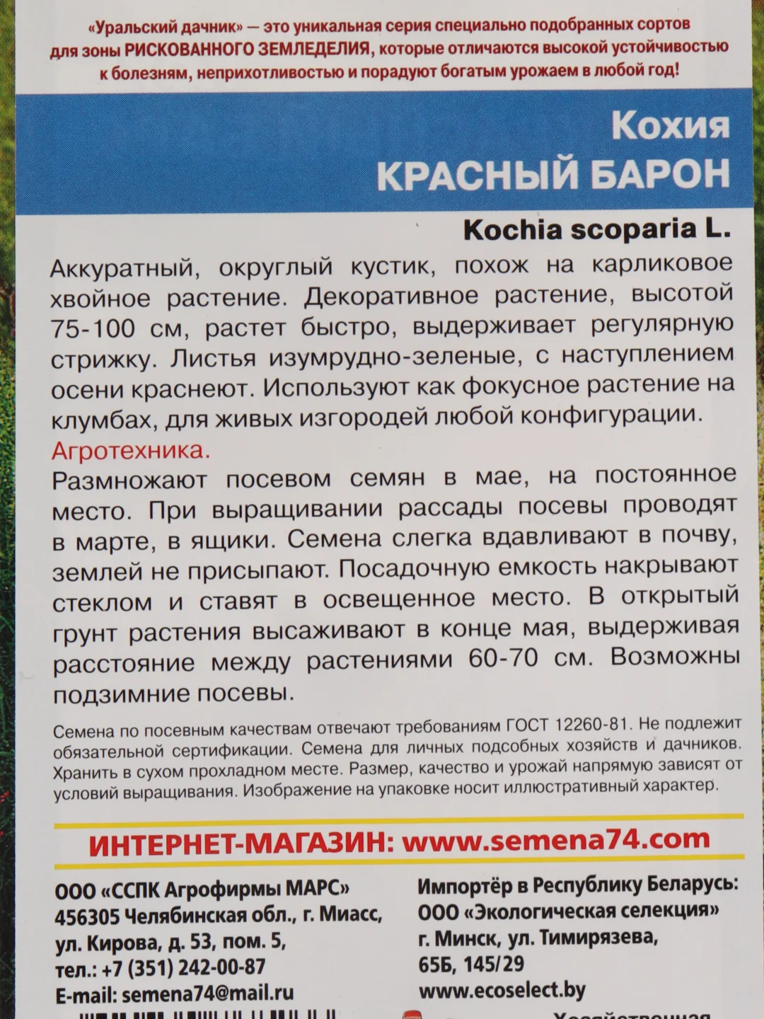 Кохия Красный Барон (семена,цветы)