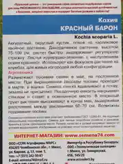 Кохия Красный Барон (семена,цветы)
