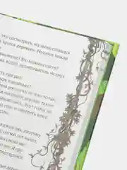 Исследователь, Ранделл К.