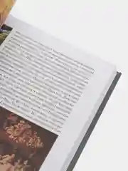История итальянского искусства в эпоху Возрождения, испр. коммент. И. Бабанова, Дворжак М.