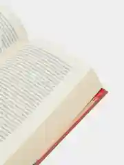 Грифоны охраняют лиру 2-е изд., Соболев А.Л.
