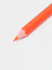 Карандаши заточенные, 12 цветов, шестигранные, пластиковые