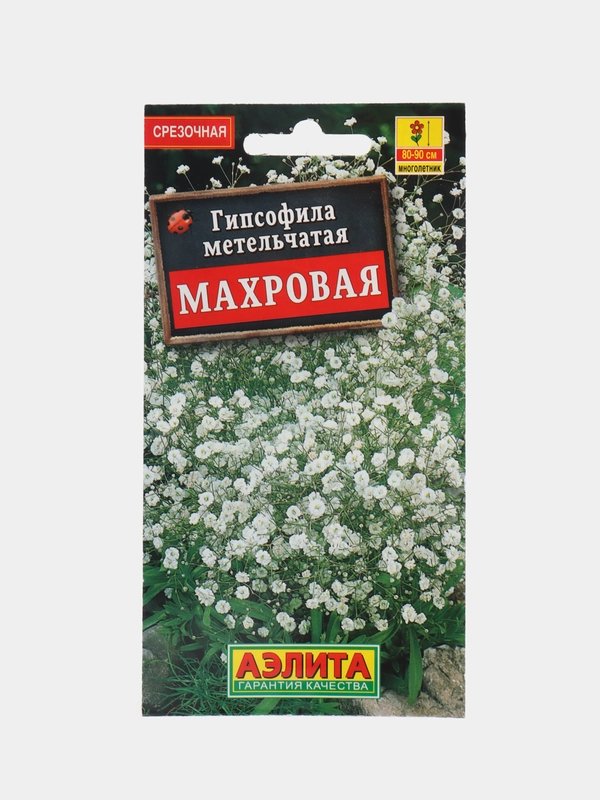 Гипсофила "Махровая многолетняя", семена, цветы
