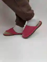 Тапочки войлочные "Зара"