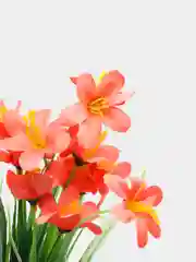 Розовый искусственные цветы зелень, трава, осока, зелень с магнолией