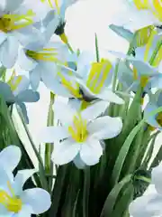 Голубой искусственные цветы зелень, трава, осока, зелень с магнолией