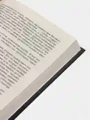Книга Спасатель. Жди меня и я вернусь. Детектив Воронин Андрей