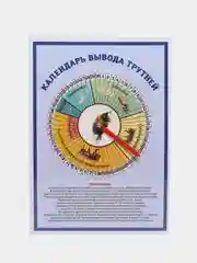 Календарь вывода трутней, пчеловодство