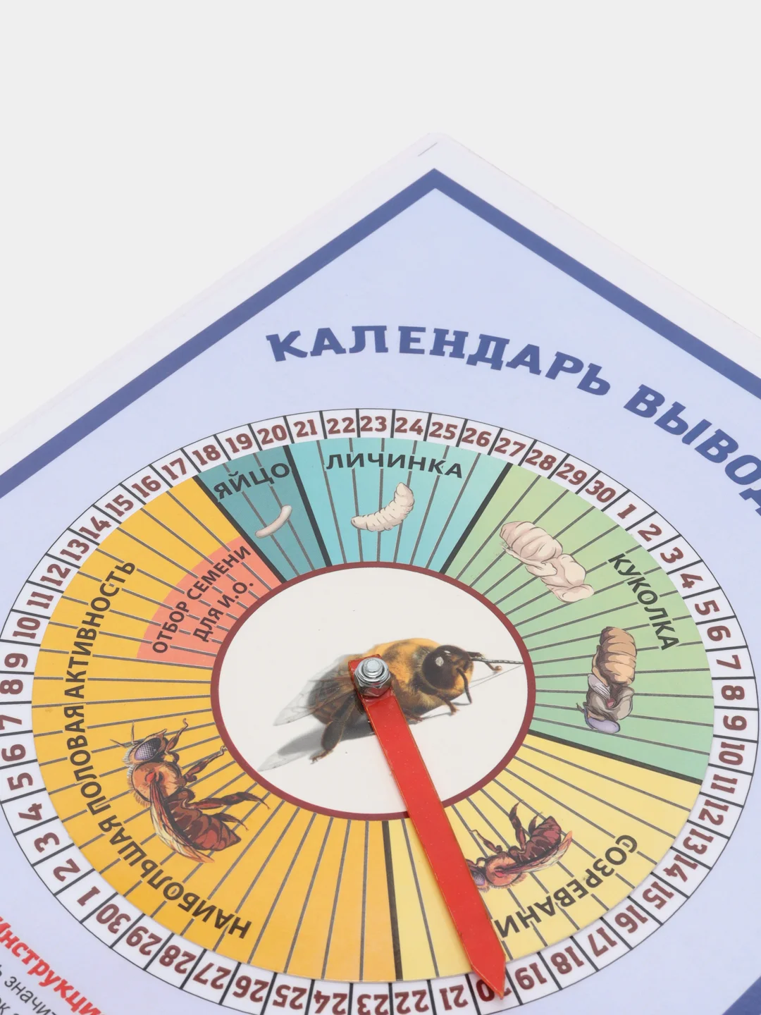 Календарь вывода трутней, пчеловодство