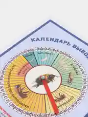 Календарь вывода трутней, пчеловодство