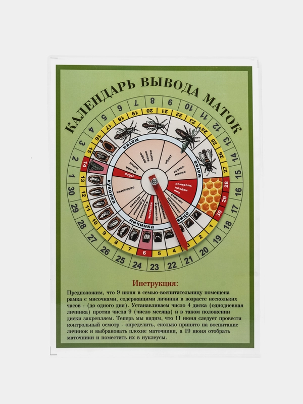 Календарь вывода пчелиных маток