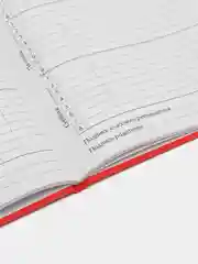 Кораллово-розовый школьный дневник для 1-4 класса, 46 вариантов