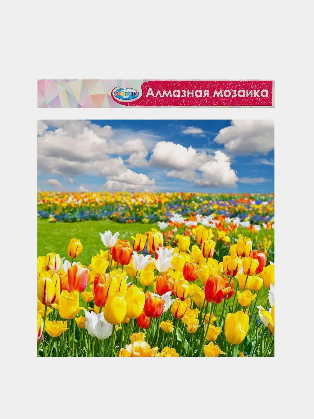 Алмазная мозаика, без подрамника, частичное заполнение, "Тюльпаны", 40 х 50 см