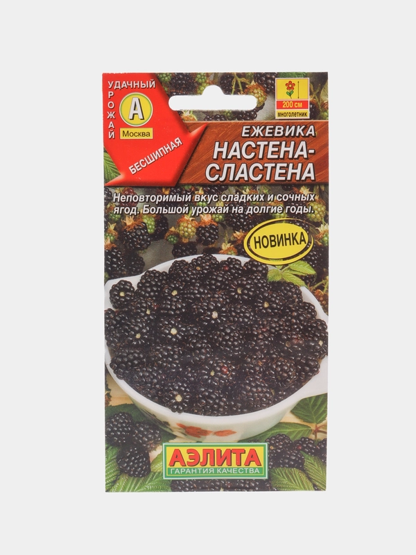 Ежевика Настена сластена (семена)
