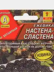 Ежевика Настена сластена (семена)