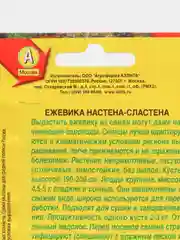 Ежевика Настена сластена (семена)