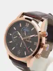 Коричневый мужские наручные часы Lige LG8932 с хронографом, в подарочной упаковке