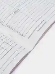 Красный дневник школьный