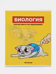 Багровый предметная тетрадь, 48 листов, "ПЕРСОНАЖИ", белизна 96%