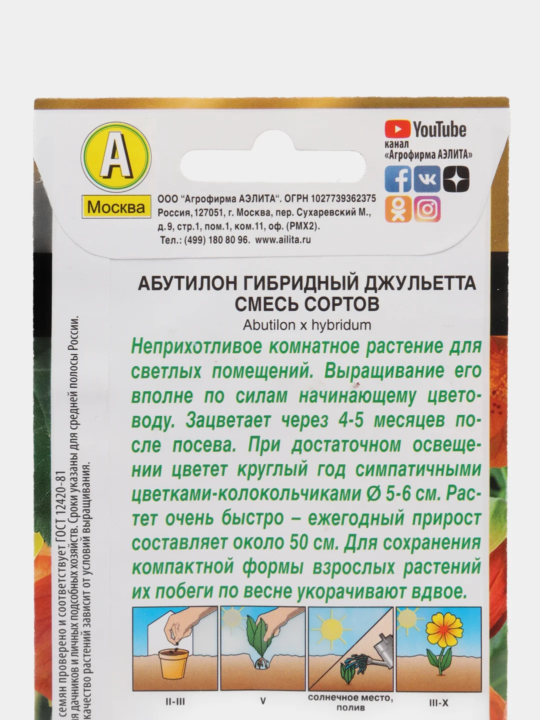 Абутилон Джульетта (семена,цветы)