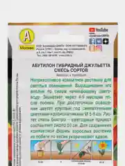 Абутилон Джульетта (семена,цветы)