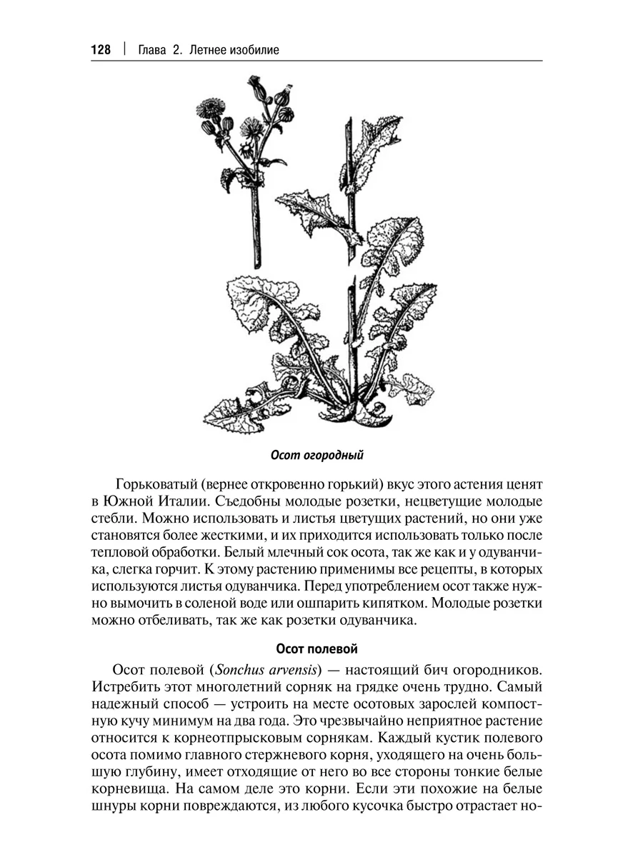 Кухня Робинзона, рецепты блюд из дикорастущих и декоративных растений, 3-е издание