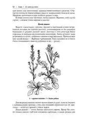 Кухня Робинзона, рецепты блюд из дикорастущих и декоративных растений, 3-е издание