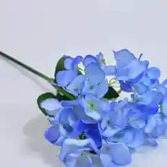 Голубой головы цветов