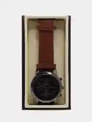 Коричневый мужские наручные часы Hannah Martin HM8401, в подарочной упаковке